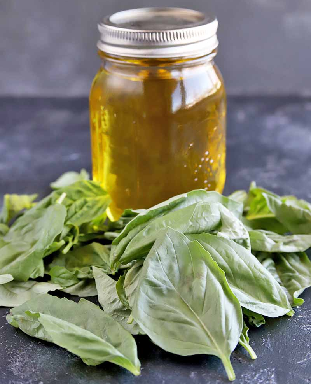 Vengai Basil Essential Oil