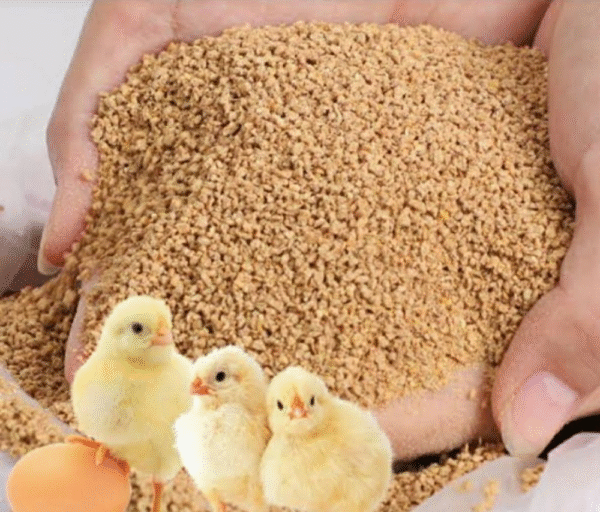 Vengai Poultry Feed